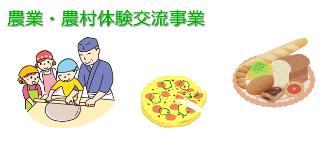 体験交流事業