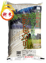 コシヒカリ10kg